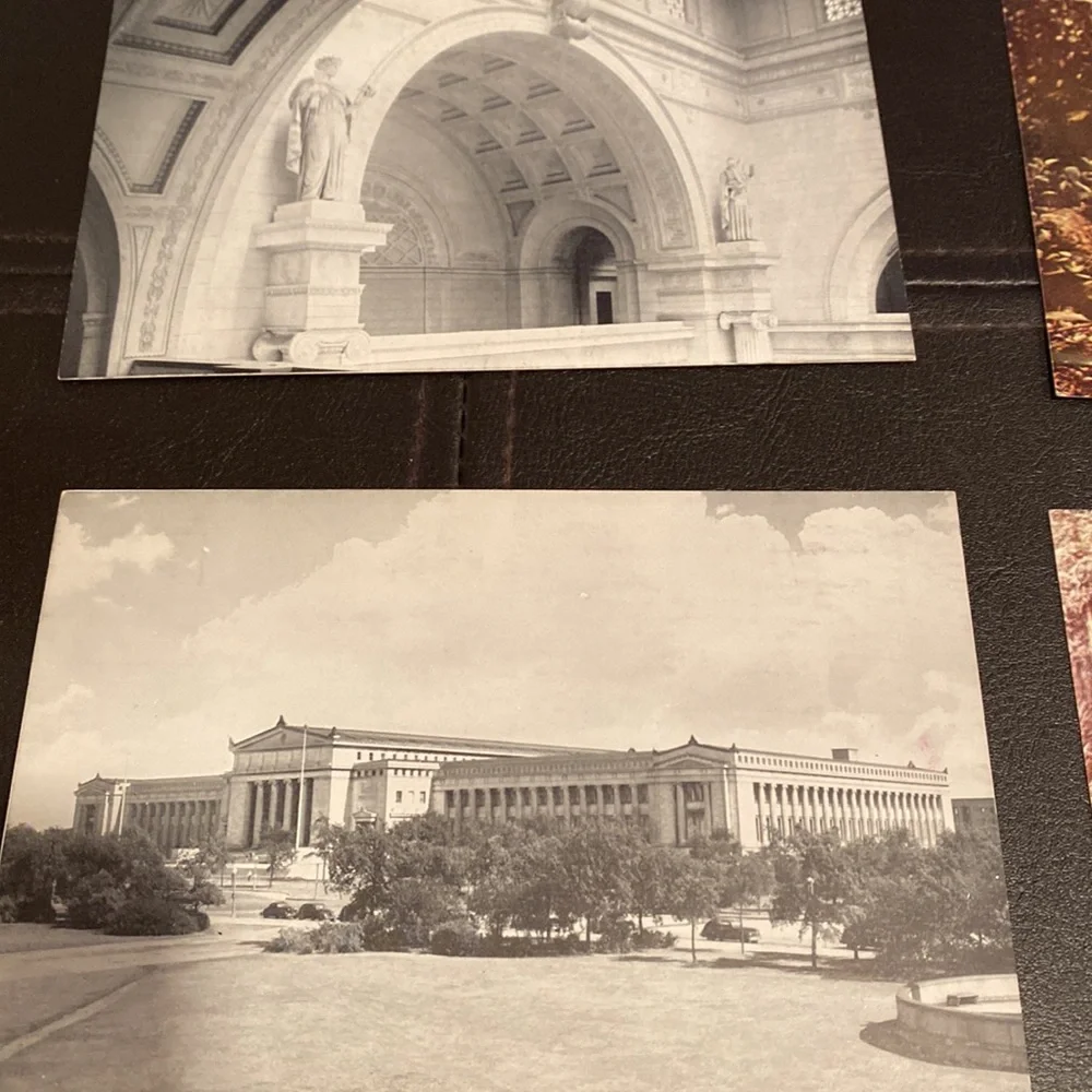 9 Vintage postcards of Chicago. 6 are of the natural history museum circa 1940